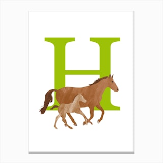 H For Horse Canvas Print