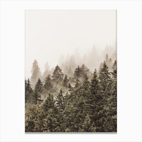 Clouds Over Forest Canvas Print