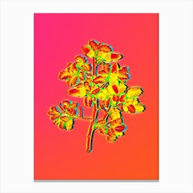 Neon Kermes Oak Botanical in Hot Pink and Electric Blue n.0373 Canvas Print