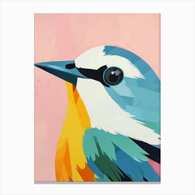 Bird Of Paradise Canvas Print