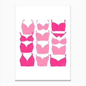 Pink Bras Canvas Print