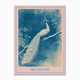 Peacock In The Tree Cyanotype Inspired 2 Poster Canvas Print