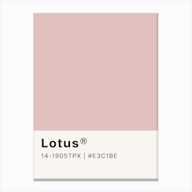 Lotus Canvas Print