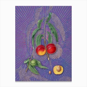 Vintage Walnut Peach Botanical Illustration on Veri Peri Canvas Print