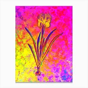 Mourning Iris Botanical in Acid Neon Pink Green and Blue n.0135 Canvas Print