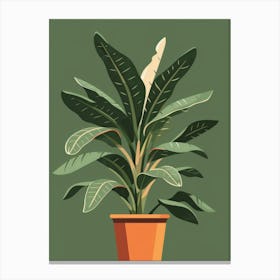 Banana Plant In A Pot 3 Canvas Print