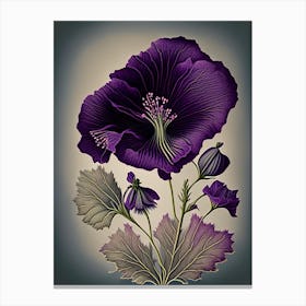 Purple Poppy Mallow Wildflower Vintage Botanical 1 Canvas Print