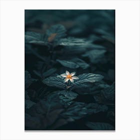 Single Flower In Water 28 Canvas Print