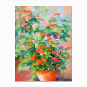 Goldfish Plant Impressionist Painting Canvas Print