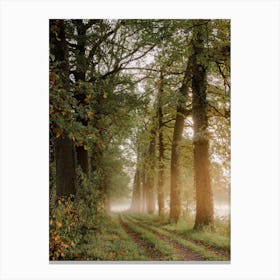 Misty Morning Walking Path Canvas Print