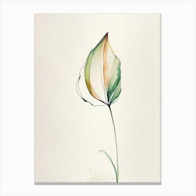 Tulip Leaf Minimalist Watercolour 2 Canvas Print