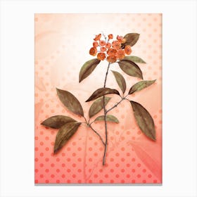 Mountain Laurel Vintage Botanical in Peach Fuzz Polka Dot Pattern n.0105 Canvas Print