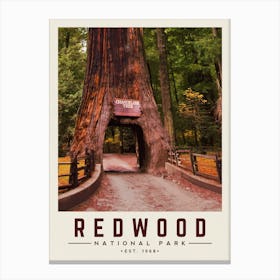 Redwood Minimalist Travel Poster Canvas Print