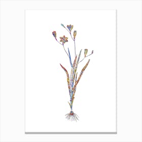 Stained Glass Ixia Bulbifera Mosaic Botanical Illustration on White n.0331 Canvas Print