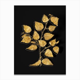 Vintage Paper Birch Botanical in Gold on Black n.0044 Canvas Print