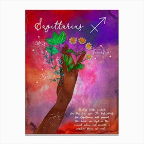 Sagittarius Healing Herbs Canvas Print