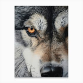 Honshu Wolf Eye 2 Canvas Print
