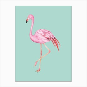 Pink Flamingo 1 Canvas Print