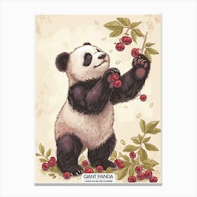 Giant Panda Picking Berries Poster 8 Canvas Print