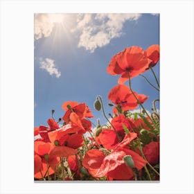 Red poppies field with blue cloudy sky at horizon Canvas Print
