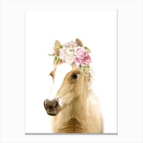 Peekaboo Floral Foal Canvas Print