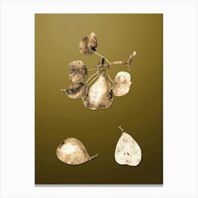 Gold Botanical Pear on Dune Yellow n.4396 Canvas Print