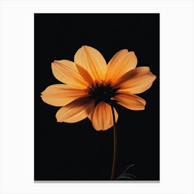 Orange Flower 6 Canvas Print