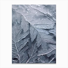 Frosty Leaves 2 Canvas Print
