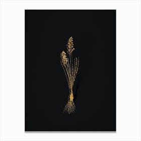 Vintage Autumn Squill Botanical in Gold on Black n.0205 Canvas Print