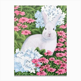 Rabbit In Garden Canvas Print