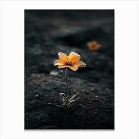 Flower Photography Canvas Print