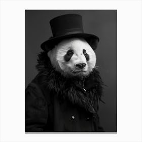 Panda Bear in winter clothes Canvas Print