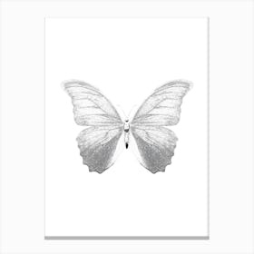 Butterfly 3 Canvas Print