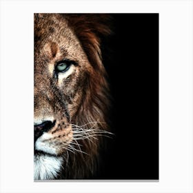 Portrait Of A Lion 1 Canvas Print