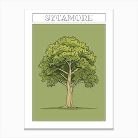 Sycamore Tree Minimalistic Drawing 1 Poster Canvas Print