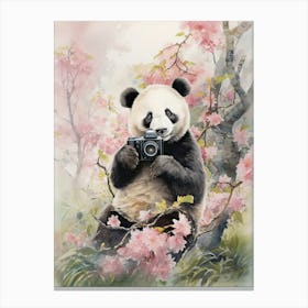 Panda Art Photographing Watercolour 1 Canvas Print