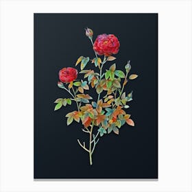 Vintage Burgundy Cabbage Rose Botanical Watercolor Illustration on Dark Teal Blue n.0103 Canvas Print