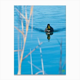 Duck In Water 20220101 123ppub Canvas Print