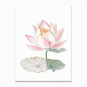 Lotus Flower In Garden Pencil Illustration 1 Canvas Print