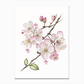 Cherry Blossom Floral Quentin Blake Inspired Illustration 1 Flower Canvas Print