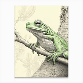 Green Tree Frog Vintage Botanical 1 Canvas Print