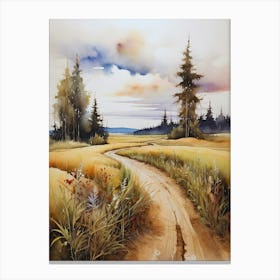 Road In The Countryside Canvas Print