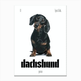Dachshund - Dog - German - Typography - Art Print - Retro - Canine - White & Black - Minimalist  Canvas Print