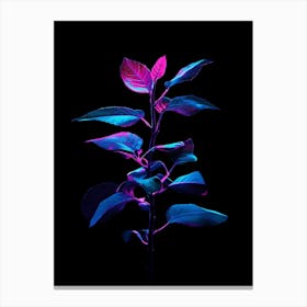 Glow In The Dark Plant 3 Canvas Print