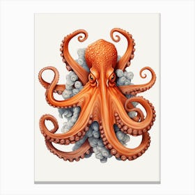 Common Octopus Illustration 3 Canvas Print