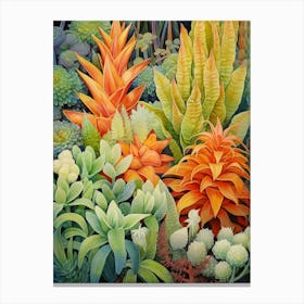 Tropical Plant Painting Haworthia Canvas Print