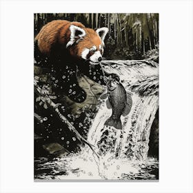 Red Panda Catching Fish In A Waterfall Ink Illustration 2 Canvas Print