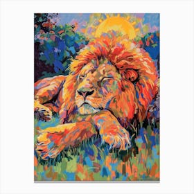 Transvaal Lion Resting In The Sun Fauvist Painting 2 Canvas Print