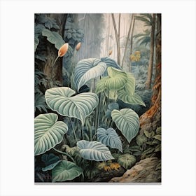 Vintage Jungle Botanical Illustration Alocasia 4 Canvas Print