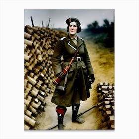 Warriors of WWI Reimagined 117 Canvas Print